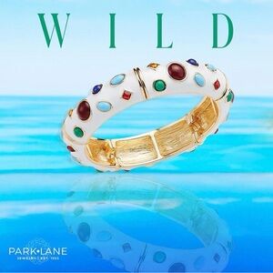 Park Lane “Wild” Bracelet | Multicolor Gem Stretch Bangle | Gold Tone | NWT